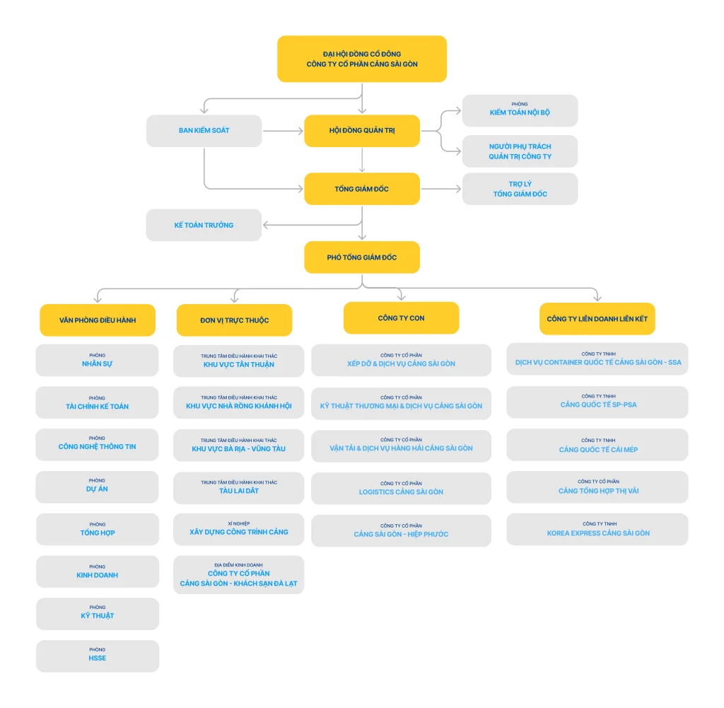 Company Structure VN 1