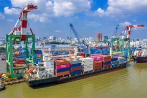 khai thac container TT