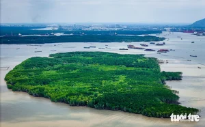 Khu vực là dự án siêu cảng trung chuyển quốc tế Cần Giờ có luồng hàng hải rộng lớn, đối diện là cụm cảng - logistics thông minh tại Cái Mép - Thị Vải. Tạo cho khu vực này thành cụm cảng tầm vóc hơn, tạo sự phát triển đột phá cho hệ thống cảng biển, tăng cường vị thế của Việt Nam trên bản đồ logistics toàn cầu. Với vị trí chiến lược, dự án sẽ mang lại lợi ích kinh tế khổng lồ cho TP.HCM nói riêng và cả nước nói chung