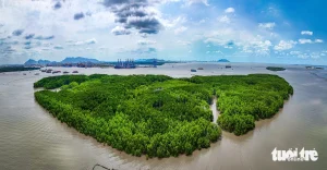 Toàn cảnh cù lao Phú Lợi (Cần Giờ, TP.HCM) nhìn từ trên cao nơi sắp trở thành siêu cảng trung chuyển quốc tế. Dự án có quy mô 571ha, tổng vốn đầu tư gần 5 tỉ USD, cầu cảng chính dài khoảng 7,5km, dự báo công suất đến năm 2030 đạt 4,8 triệu TEUs, tiến tới 16,9 triệu TEUs vào năm 2047, khả năng tiếp nhận tàu container trọng tải lớn lên tới 250.000 tấn