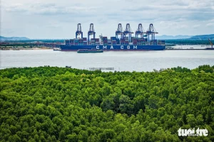 Từ phía cù lao Phú Lợi nhìn sang mặt tiền đối diện là cụm cảng Cái Mép Hạ với dàn cẩu trục hiện đại đang hối hả bốc dỡ hàng hóa, tạo rõ nét về tương lai của bờ bên này Cần Giờ