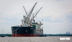 Mỗi ngày, những tàu container to như tòa nhà cứ lừng lững đi qua ngay sát mé cù lao Phú Lợi. Liên danh Tổng công ty Hàng hải Việt Nam - Công ty cổ phần Cảng Sài Gòn - Terminal Investment Limited Holding S.A cho biết cảng trung chuyển quốc tế Cần Giờ sẽ được đầu tư theo mô hình cảng hiện đại, bền vững, đạt tiêu chuẩn quốc tế, hướng tới mô hình “cảng quốc tế 5 sao”