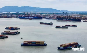 Cảng trung chuyển quốc tế Cần Giờ sẽ kết nối với hệ thống cảng biển, cùng dự án Khu thương mại tự do (FTZ) hình thành trong tương lại, tạo động lực đặc biệt cho TP.HCM và cả nước