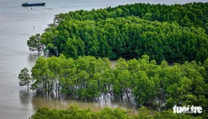 base64 17771146153191394673641