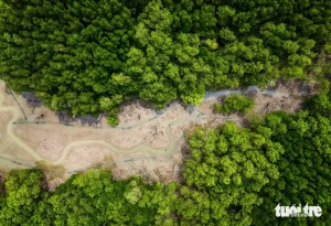 Một số góc cù lao Phú Lợi, nơi vùng đất bãi bồi còn khá tĩnh lặng với lớp phù sa bồi đắp theo từng con nước. Từ năm 2020, đại diện Hãng tàu MSC phối hợp với đối tác là Cảng Sài Gòn liên tục cử đội ngũ chuyên gia hàng đầu đến Cần Giờ để trực tiếp khảo sát, đánh giá, lựa chọn vị trí xây dựng cảng