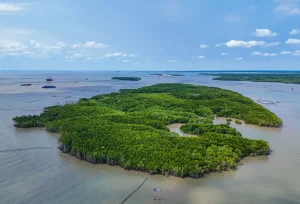 Khu vực sẽ làm dự án cảng trung chuyển quốc tế Cần Giờ ở cù lao Phú Lợi (Cần Giờ giáp Bà Rịa - Vũng Tàu cũ) - Ảnh: C.TUẤN