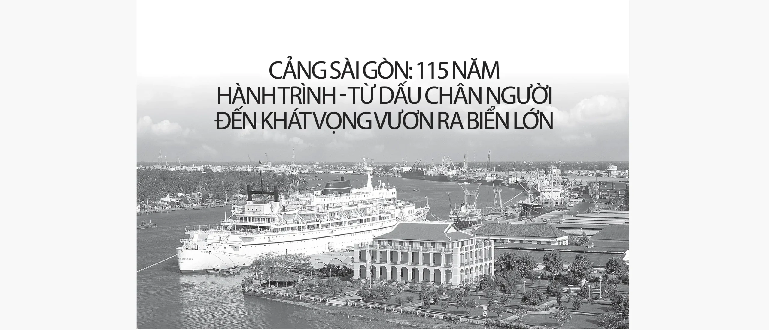 Trang chủ 1 115 csg scaled