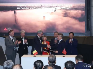 Từ SSIT đến Antwerp-Bruges: Kết nối cảng biển Việt Nam với thị trường châu Âu 1 snapedit 1792750723985 3