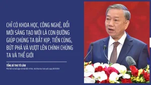 Cảng Sài Gòn thực hiện Nghị quyết 57: Tăng tốc chuyển đổi số, nâng cao hiệu quả khai thác 1 to lam.jpg